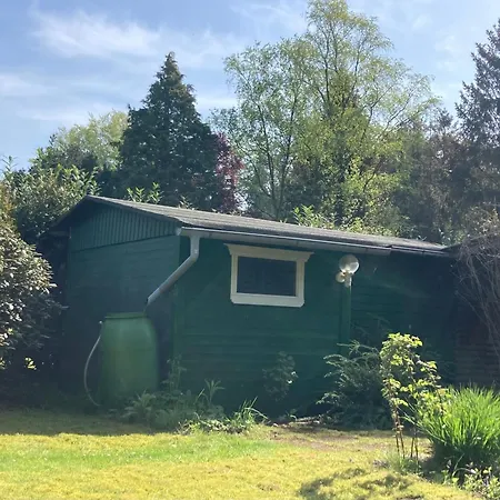 Ferienhaus Grosses Meisenhaus Wing110 Im Naturpark * Wingst